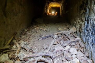 Ossuarium - kości ludzikie katakumby Paryż