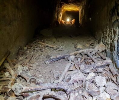 Ossuarium - kości ludzikie katakumby Paryż