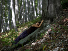 Justyna Stoszek Justyna Stoszek Forest Forever