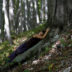Justyna Stoszek Justyna Stoszek Forest Forever